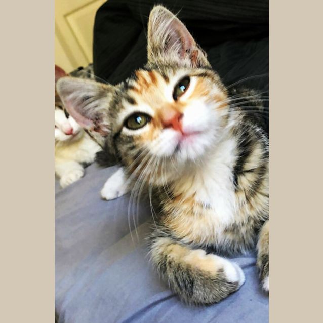 Photo of Missy
