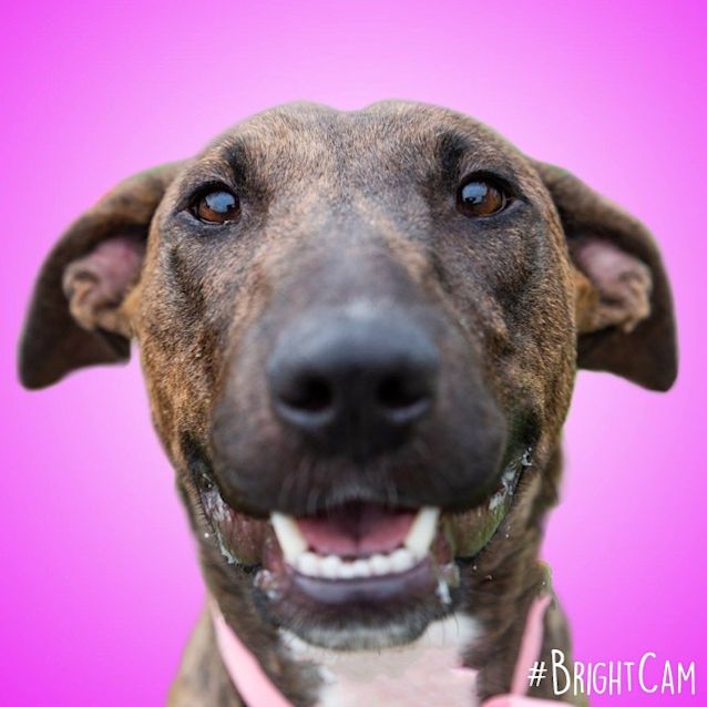 Photo of Bonnie  ** Absolutely Gorgeous **