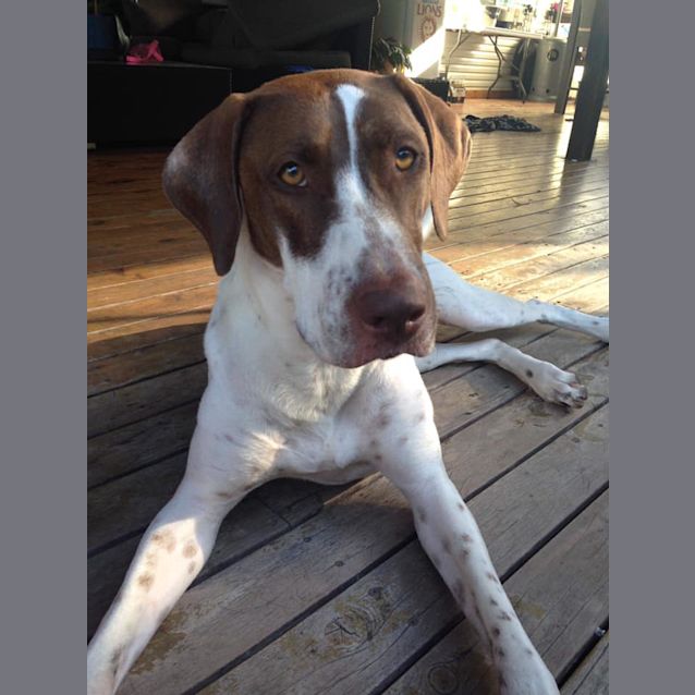 Photo of Josie