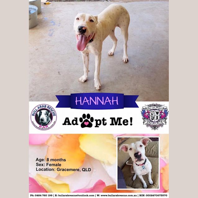 Photo of Hannah 