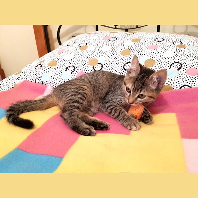 Photo of Zara