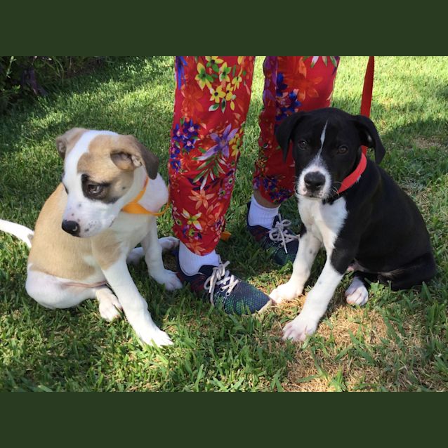 Photo of Tim And Tom