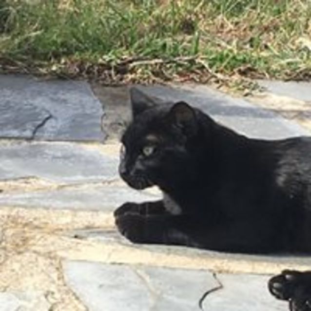 Photo of Salty