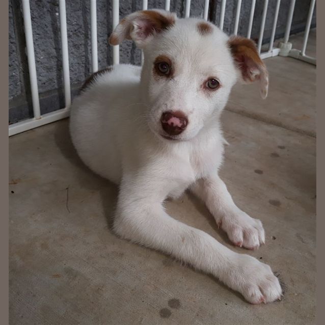 Photo of Rhea