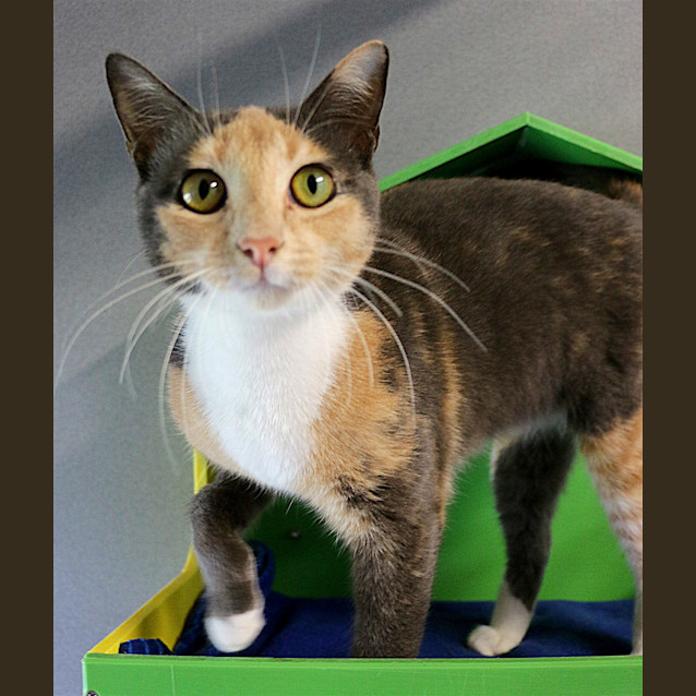 Photo of Missy