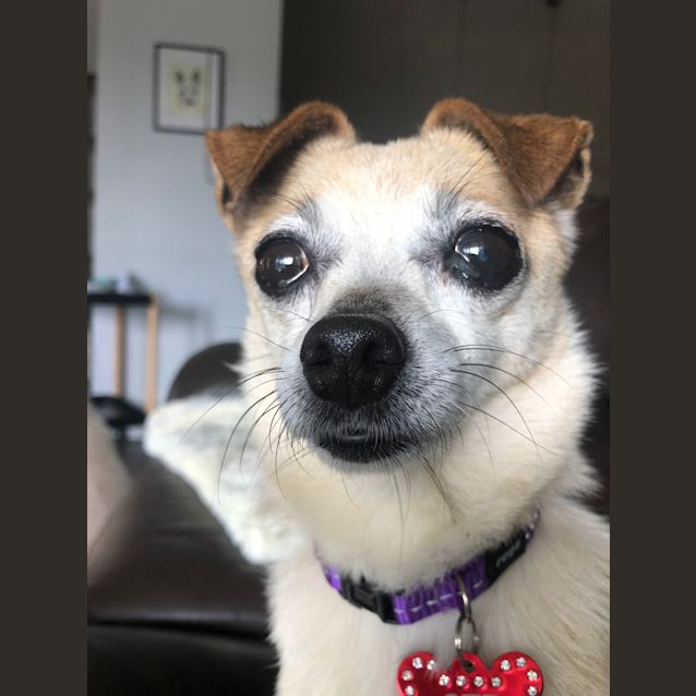 Photo of Larry