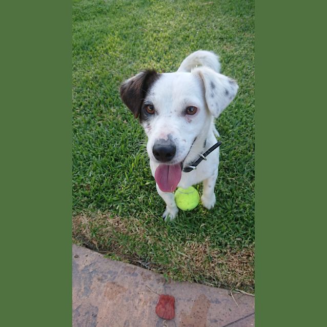 Photo of Jack 