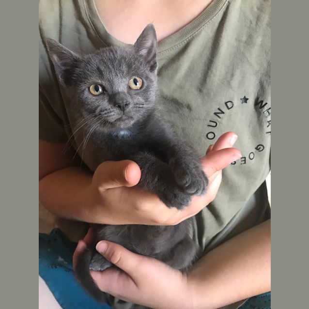 Photo of Jasper