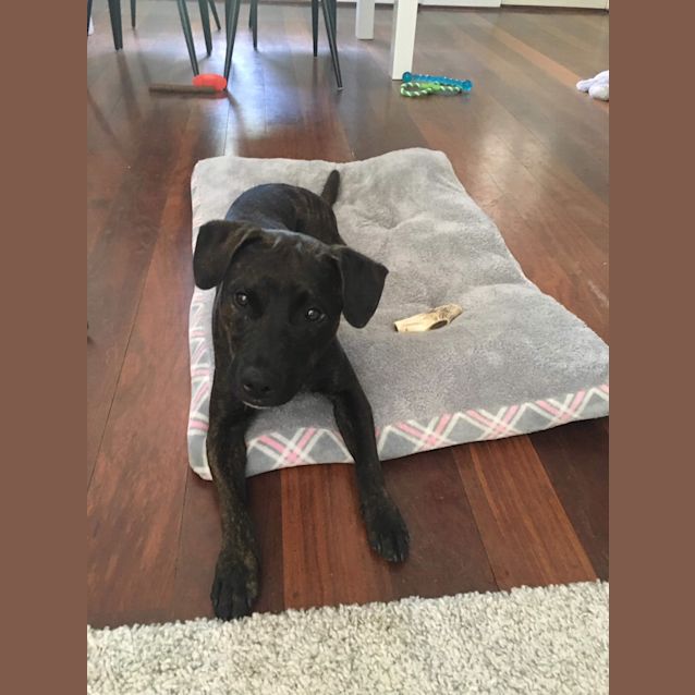 Photo of Jett Dl2059