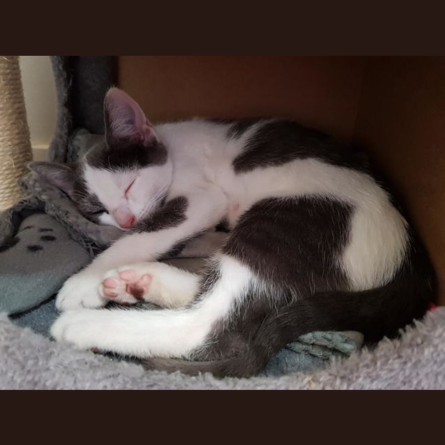 Photo of Lil
