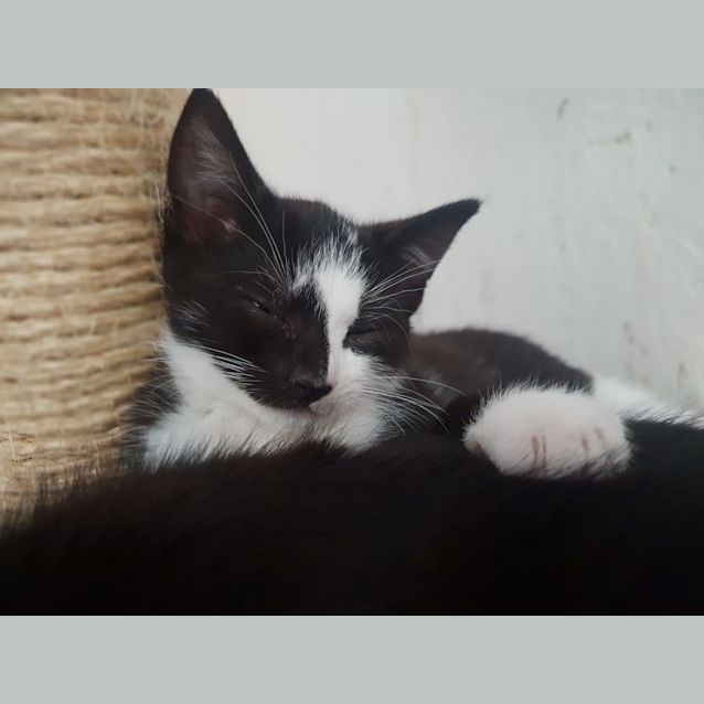 Photo of Bounty