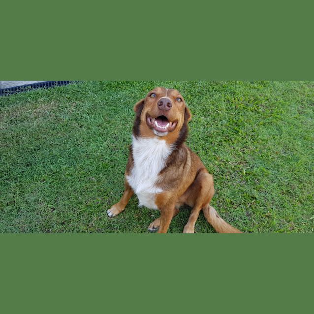 Photo of Bella 🔔 