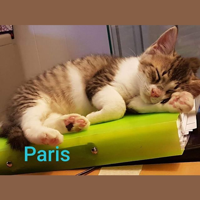Photo of Paris