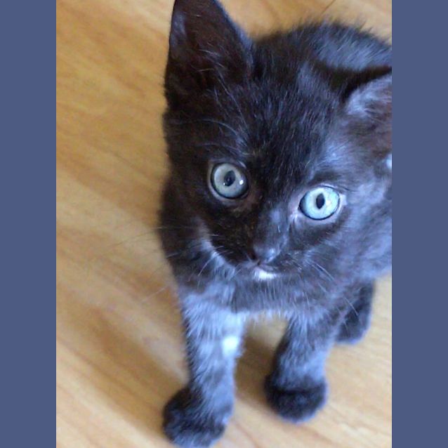 Photo of Nuka