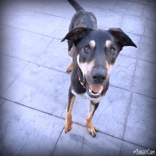 Photo of Ruby ** Total Sweet Heart **