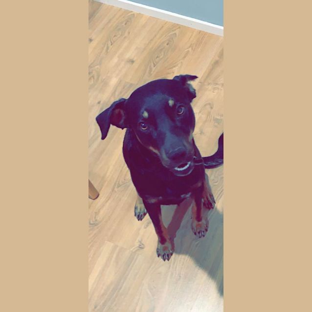 Photo of Cheeky Charlie