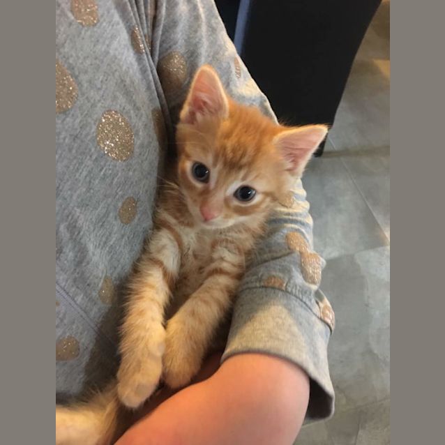 Photo of Sassy