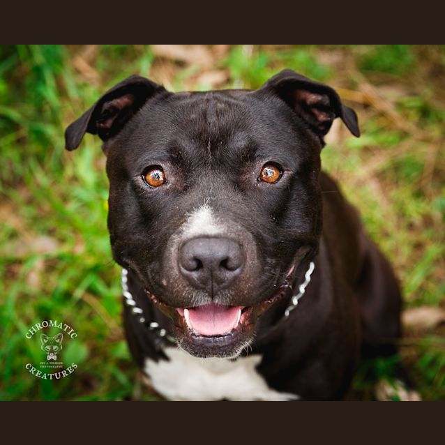 Photo of Big Boy