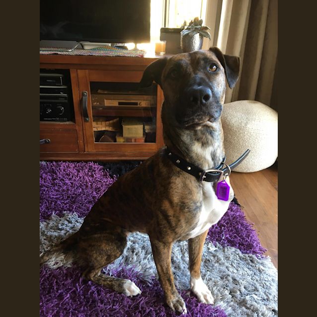 Photo of **On Trial**Tilly