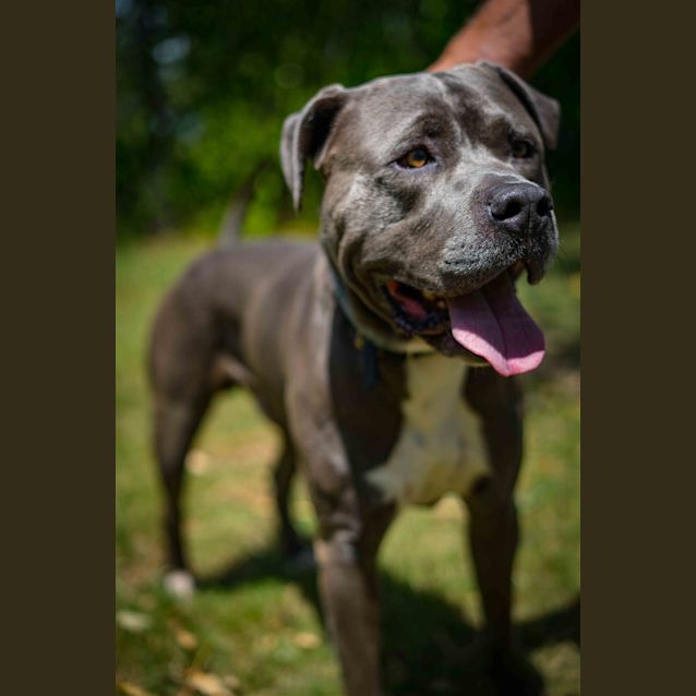 Photo of Cruizer