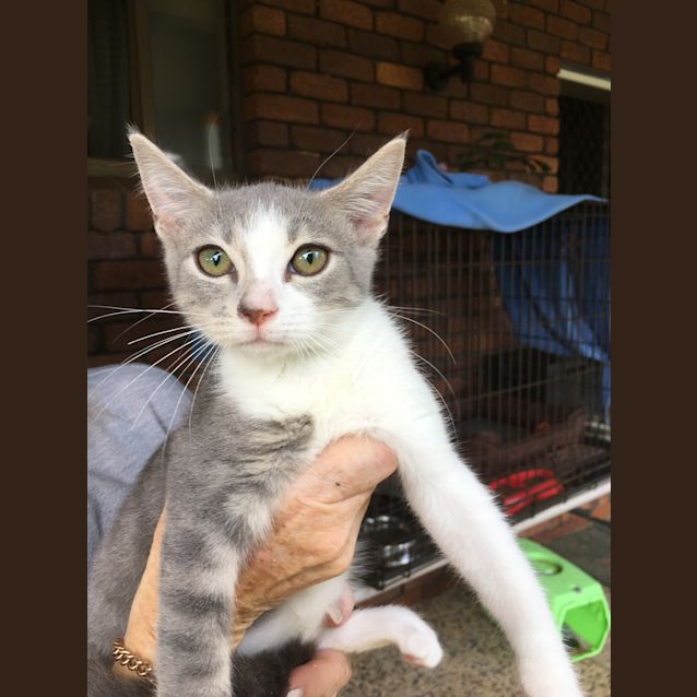 Photo of Squishy On Sale Now