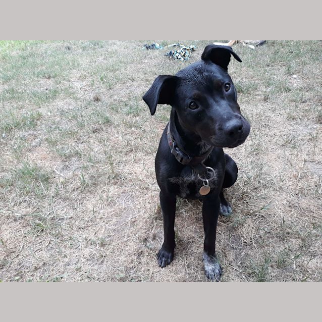 Photo of Peggy Sue