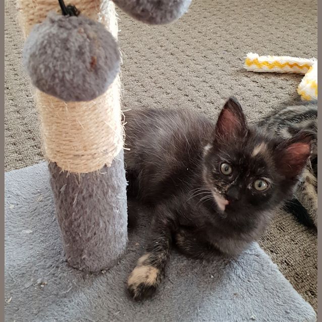 Photo of Cloe