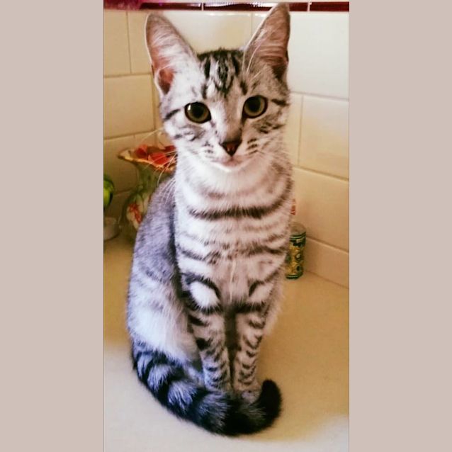 Photo of Bob