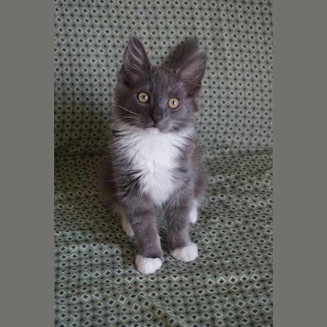 Photo of Itty