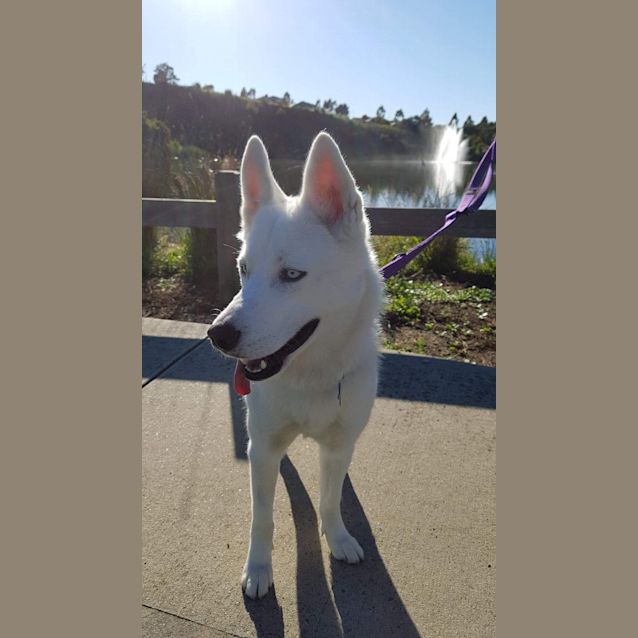 Photo of Bella 