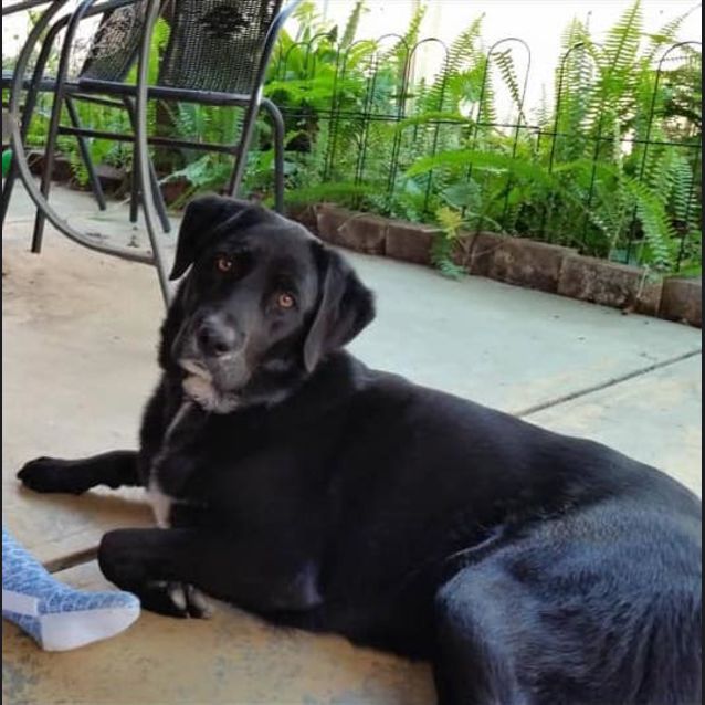 Photo of Milly Dl2072