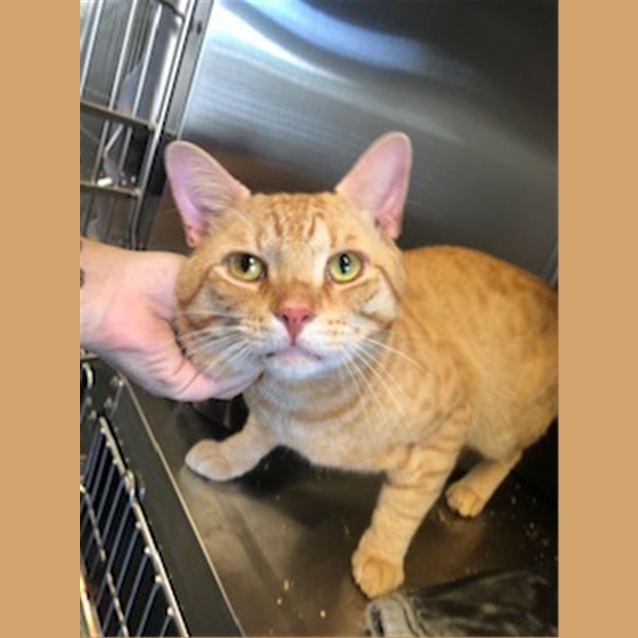 Photo of Castiel