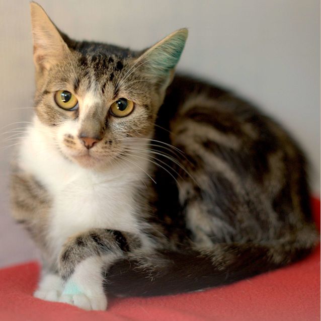 Photo of Kiki