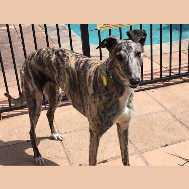 Photo of Becky (On Trial)