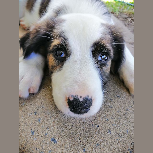 Photo of Hope