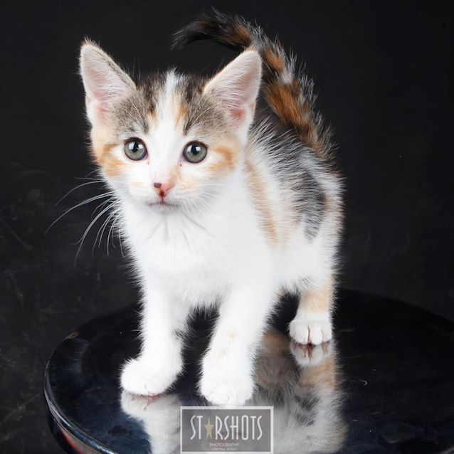 Photo of Evie