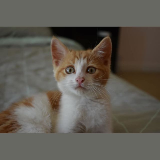 Photo of Aubrey