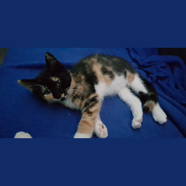 Photo of Kira