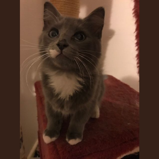 Photo of Reggie