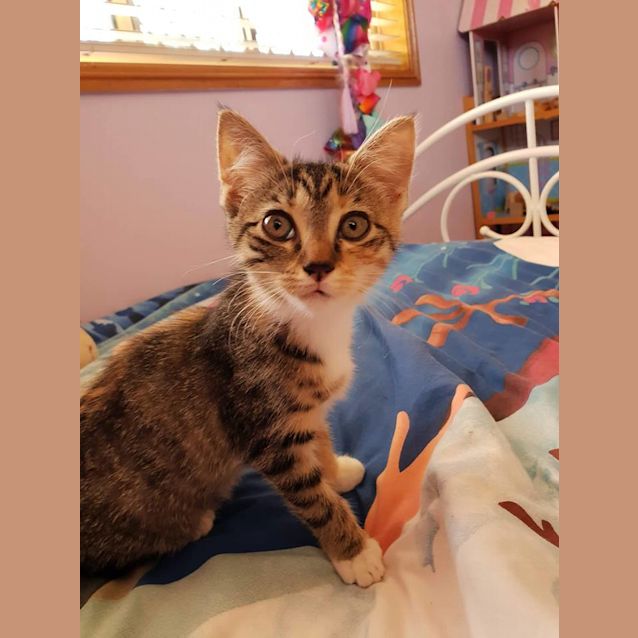 Photo of Susie
