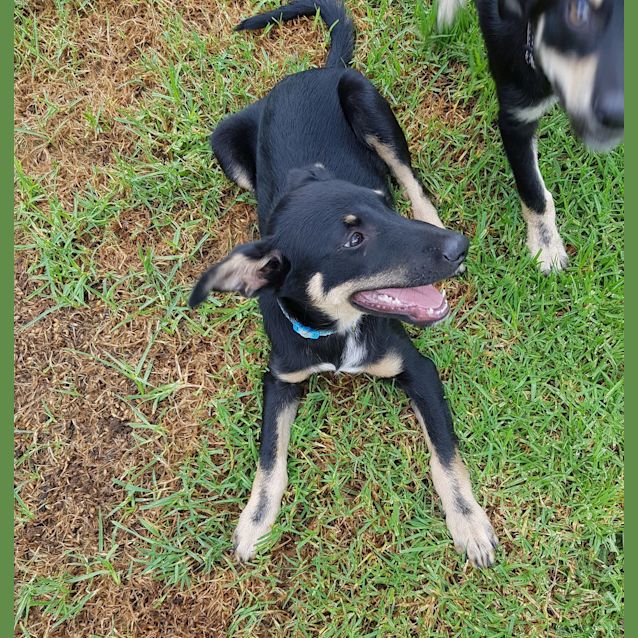 Photo of Bingo
