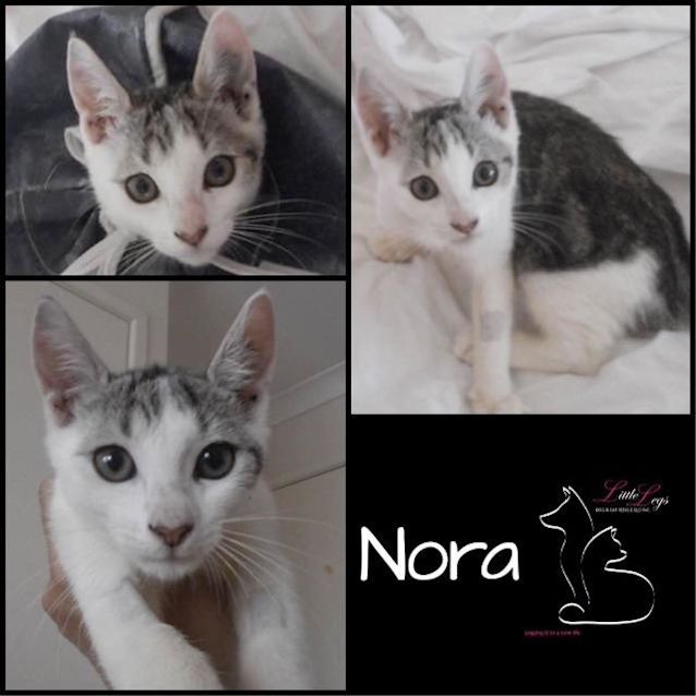 Photo of Nora