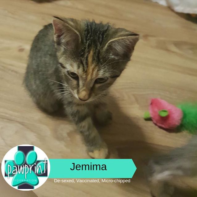 Photo of Jemima