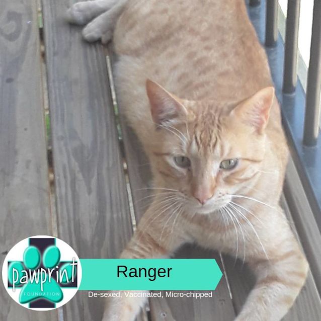 Photo of Ranger