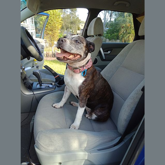 Photo of Gracie