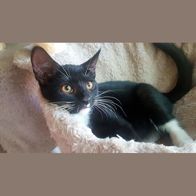 Photo of Marilyn (Marilyn Monroe)