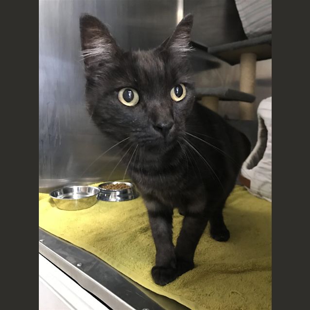 Photo of Jasper
