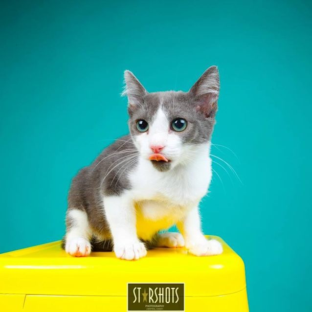Photo of Blue