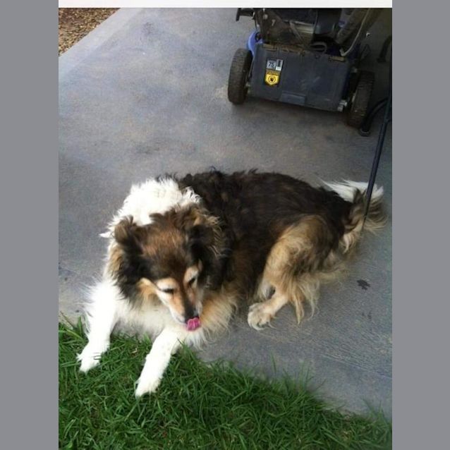 Photo of Bella And Jersey