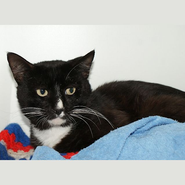 Photo of Tux Sta003440